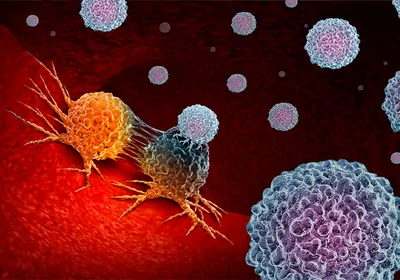 How Cancer Circumvents the Immune System